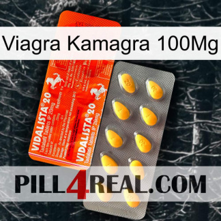 Viagra Kamagra 100Mg new01